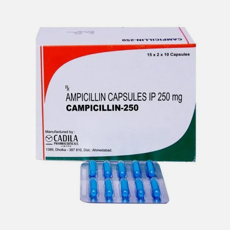 Campicillin Capsules - Image 2